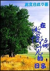 在傲慢与偏见的日子TXT免费最新章节