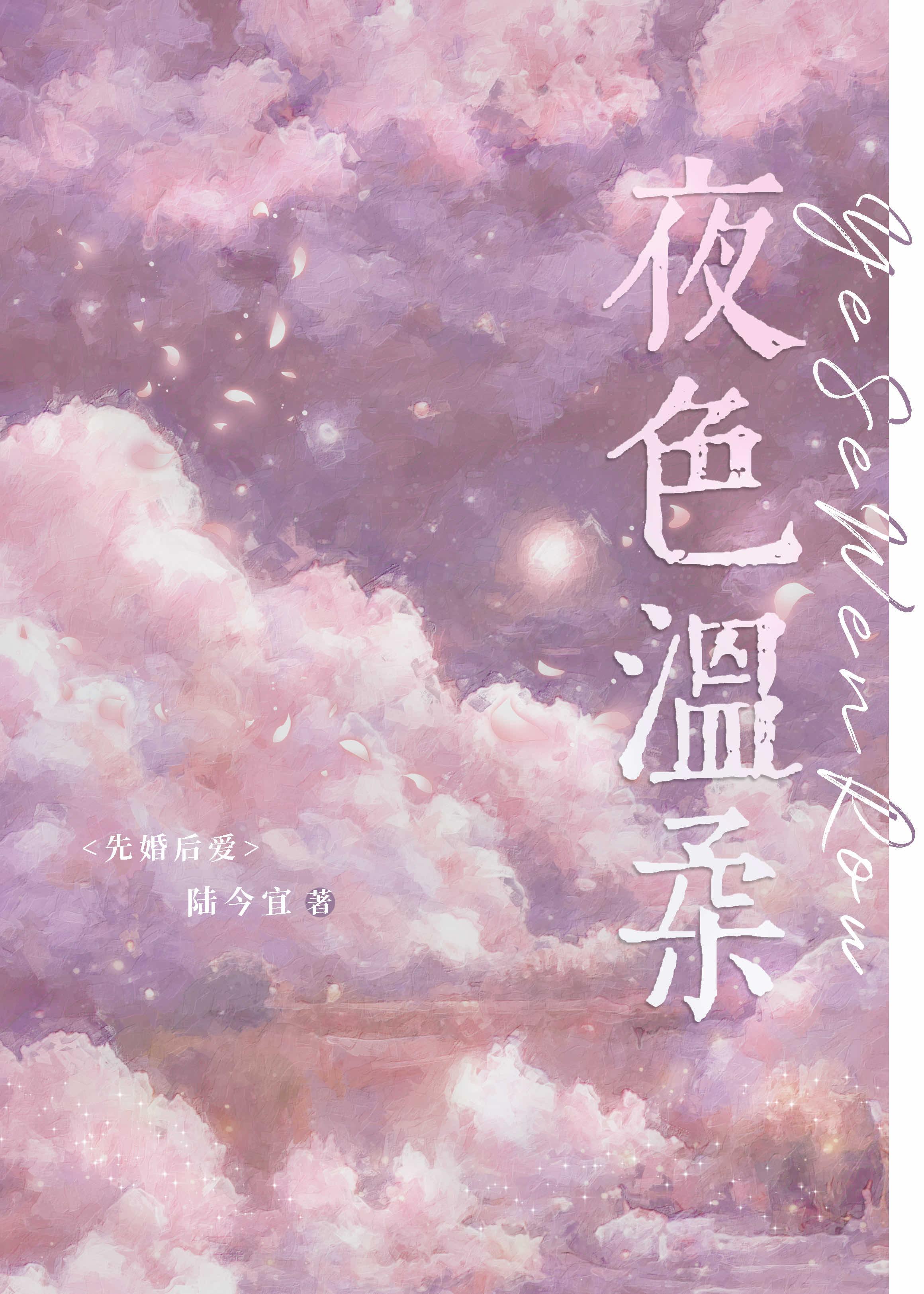 夜色温柔讲的是什么