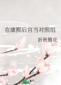 在康熙后宫当对照组